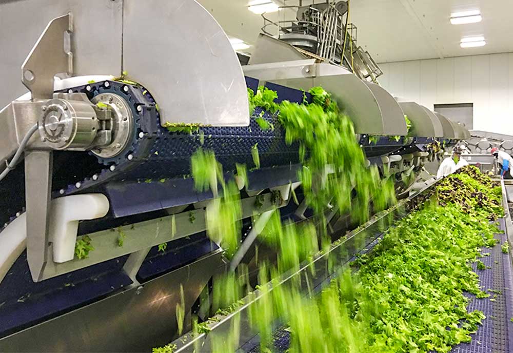 Dầu Bánh Răng An Toàn Thực Phẩm