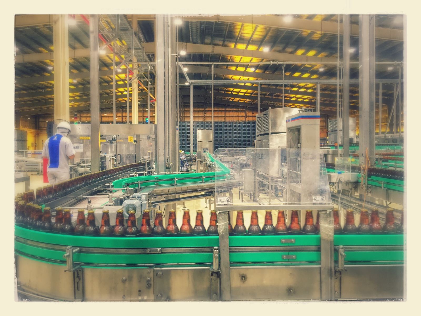 Dầu xích cho ngành thực phẩm