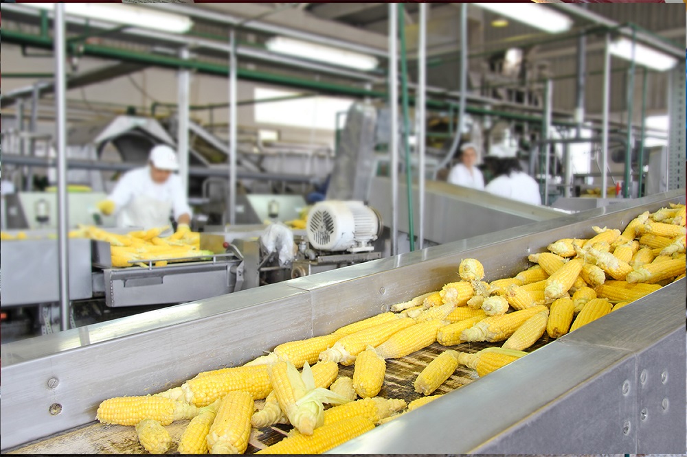 Food Grade Lubricants Suppliers - 24/7 Nationwide Deliveries | Crown Oil